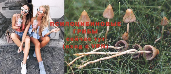 jwh Елабуга