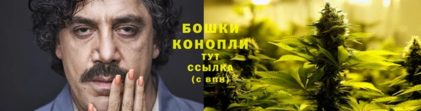 мет Елизово