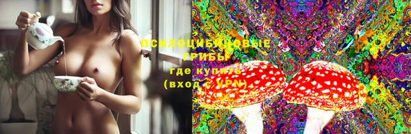 твердый Дмитриев