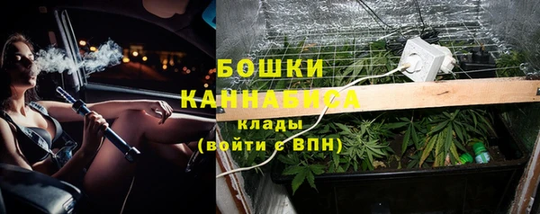 мет Елизово