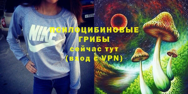 мет Елизово