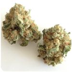 Шишки "White Widow"  (Белая вдова)  Гидропоника -  Бошка VHQ в Починке